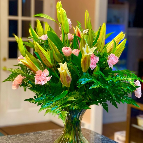 Meet your Posher, Chi - Picture 1 of 1